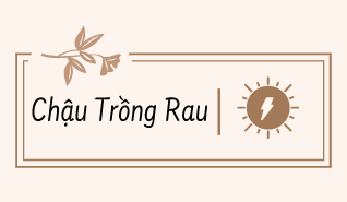 Thế Giới Chậu Trồng Rau, Chậu Trồng Hoa, Cây Cảnh